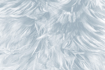 Papier peint photo Couloir et Hall Plumes blanches bleu pastel douces  © nadtytok28