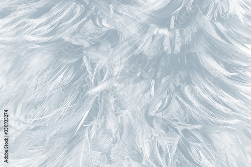 Beautiful white baby blue colors tone feather pattern texture cool background for decorative design wallpaper and other