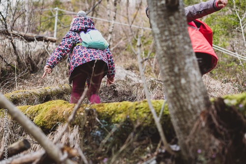 Wallpaper Mural Children hiking in the mountains or woods on family trip. Torontodigital.ca