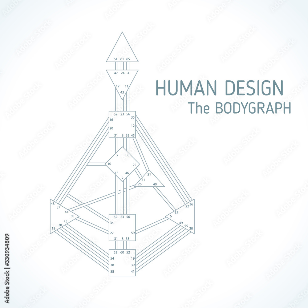 Human design bodygraph chart design. Vector isolated illustration. Energy centers gates system blank template