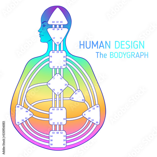 Human design bodygraph chart design. Vector isolated illustration. Energy centers gates system blank template