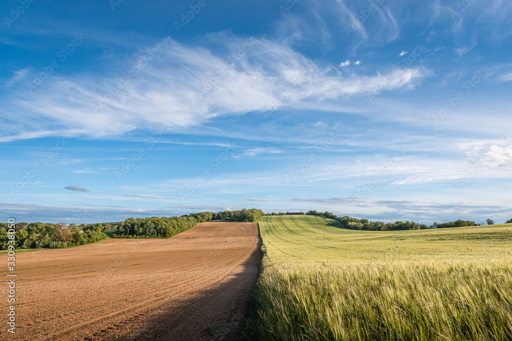 Wide view of fields of fallowed farmland and green wheat underneath big sky in the French countryside