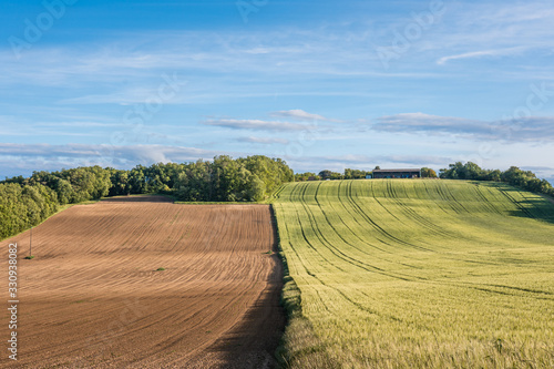 Divided fallow land and field of wheat
