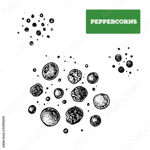 Peppercorns hand drawn vector illustration. Isolated sketch of peppercorns. Engraved illustration. Peppercorns spice. Black and white.