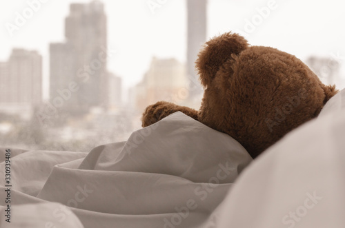 Sleeping teddy bear bed sale