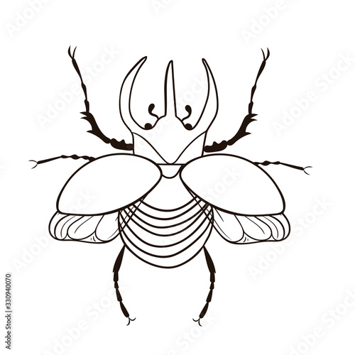 Rhinoceros beetle isolate on a white background. Vector graphics.