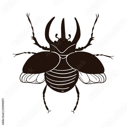 Rhinoceros beetle isolate on a white background. Vector graphics.