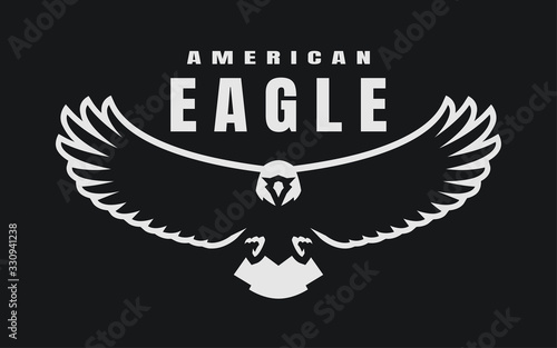 American eagle. Flying bird logo, simbol on a dark background. Vector illustration.