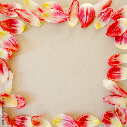 Square frame made of colourful tulip petals with space for text