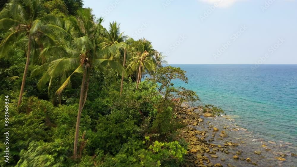 aerial of tropical coast line with jungle and palm trees aerial of tropical coast line with jungle and palm trees