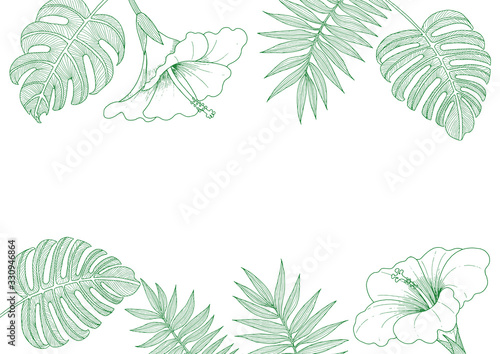 Hibiscus and plant line drawing frame