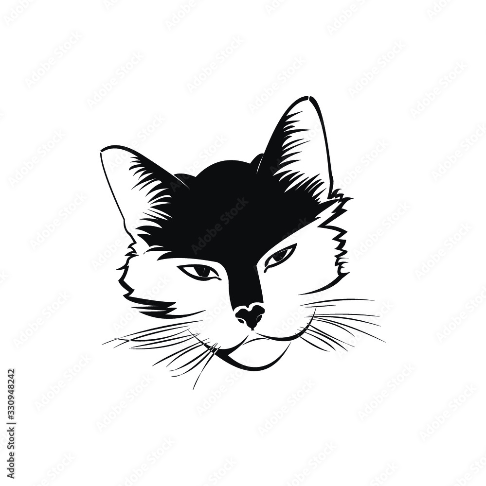 Cat's head against a white background