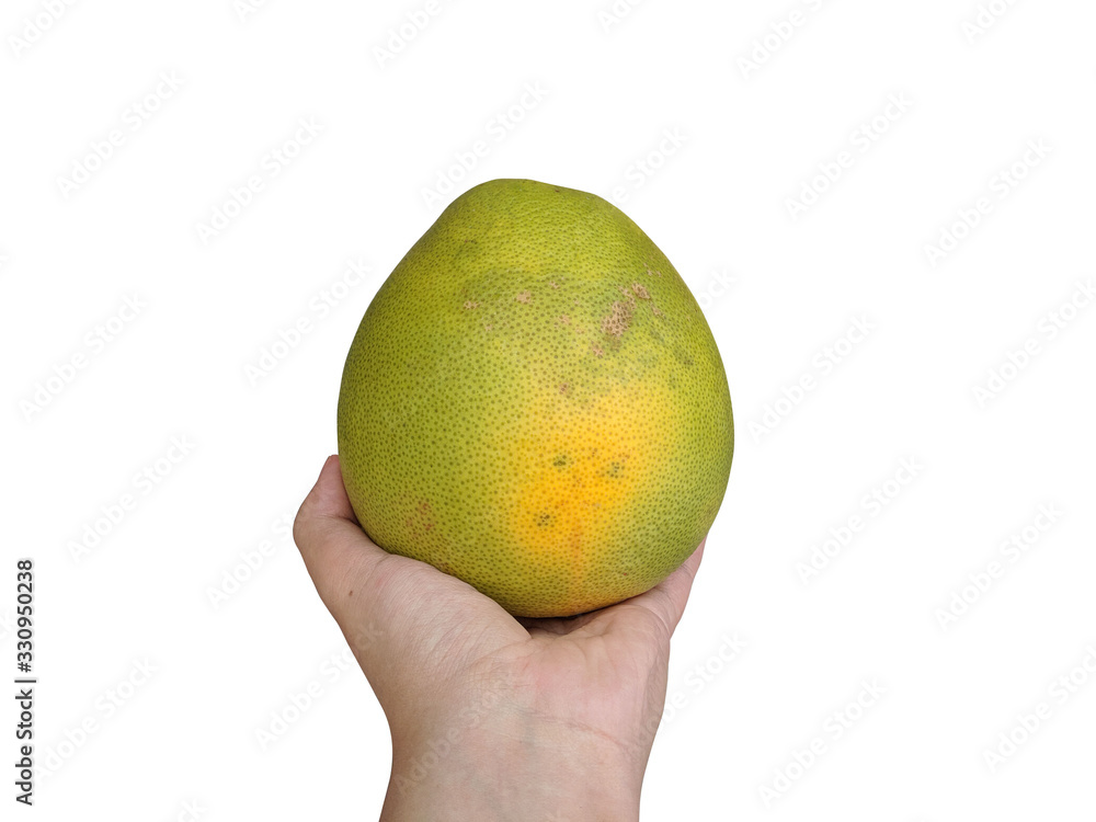 Pomelo fruit isolated on white background Pomelo fruit isolated on white background