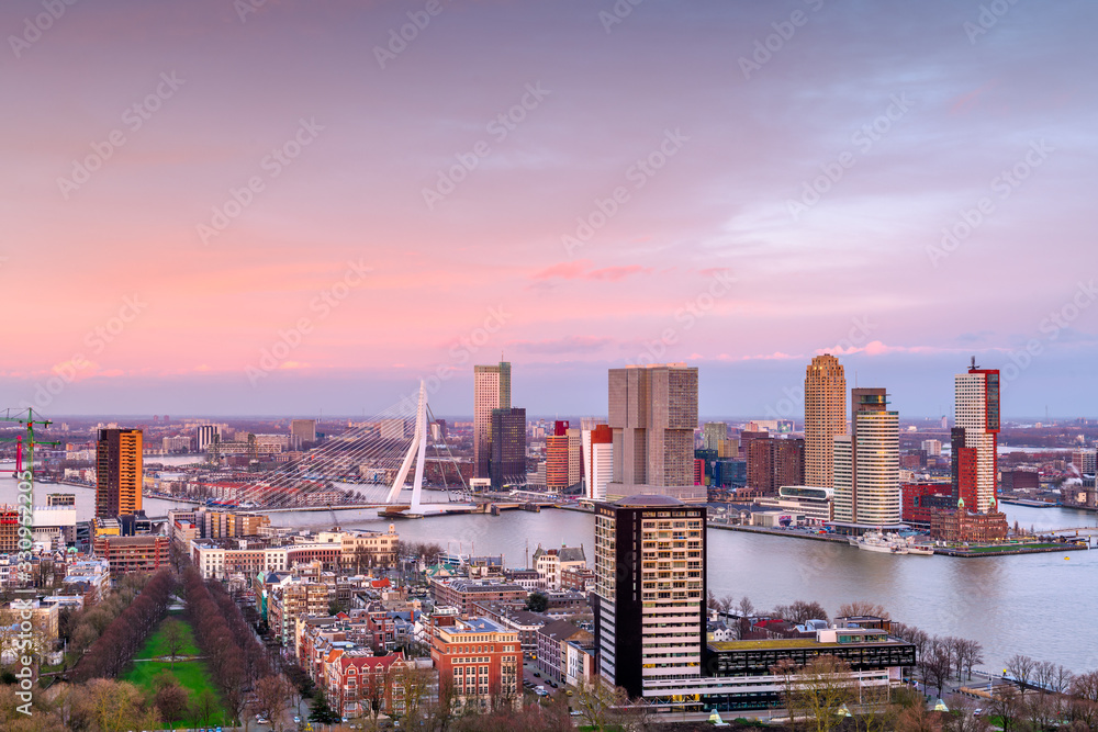Fototapeta premium Rotterdam, Netherlands Skyline