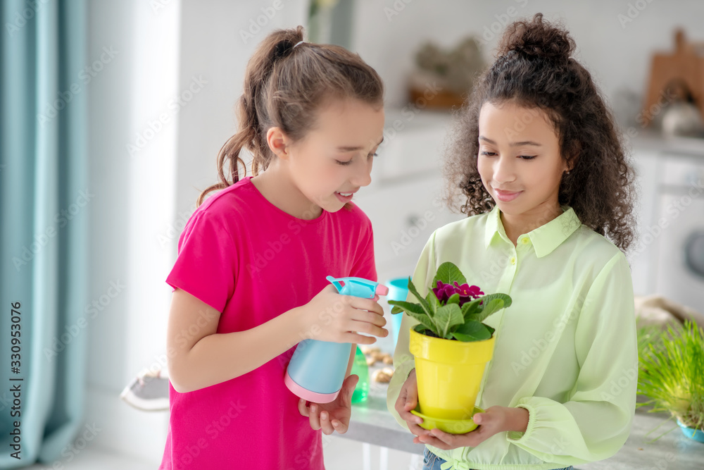 Girls watering a flowerpot with pink violet. Girls watering a flowerpot with pink violet.