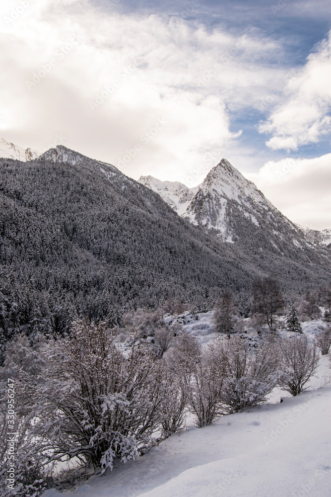 Fototapeta premium Pirineos