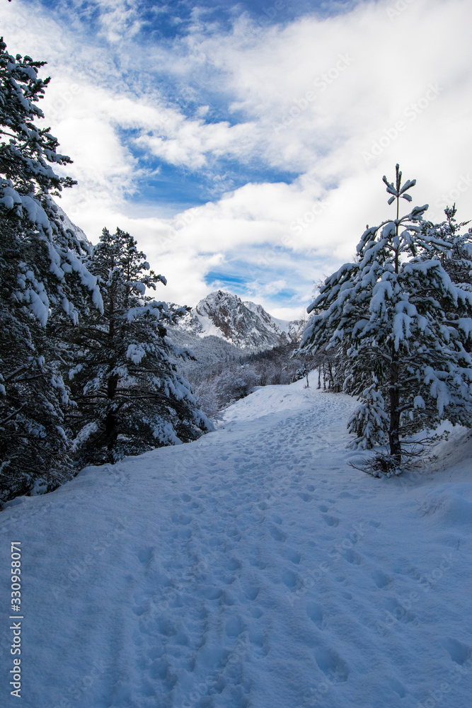 Fototapeta premium Pirineos