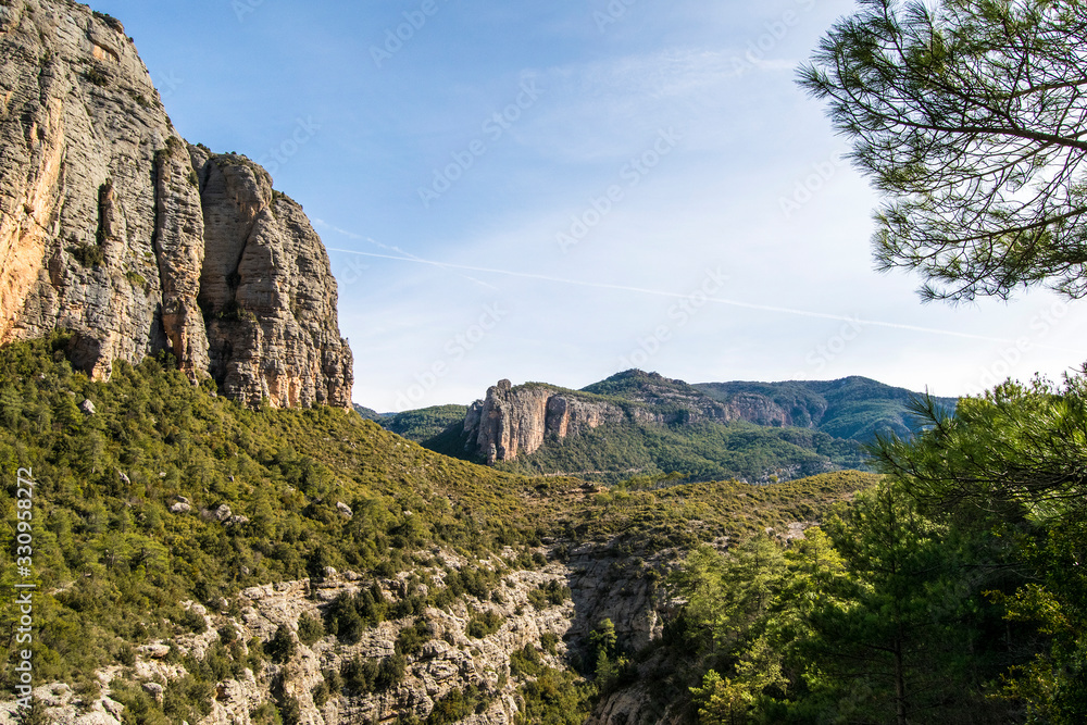 Naklejka premium Pirineos