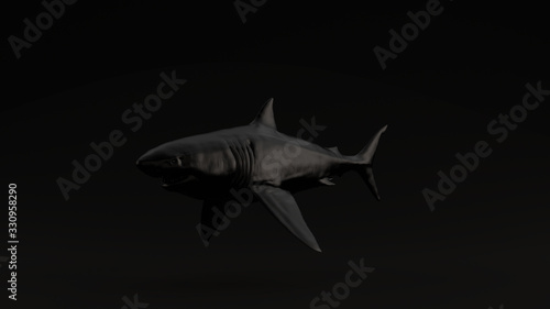 Black Great White Shark Black Background 3d illustration 3d render