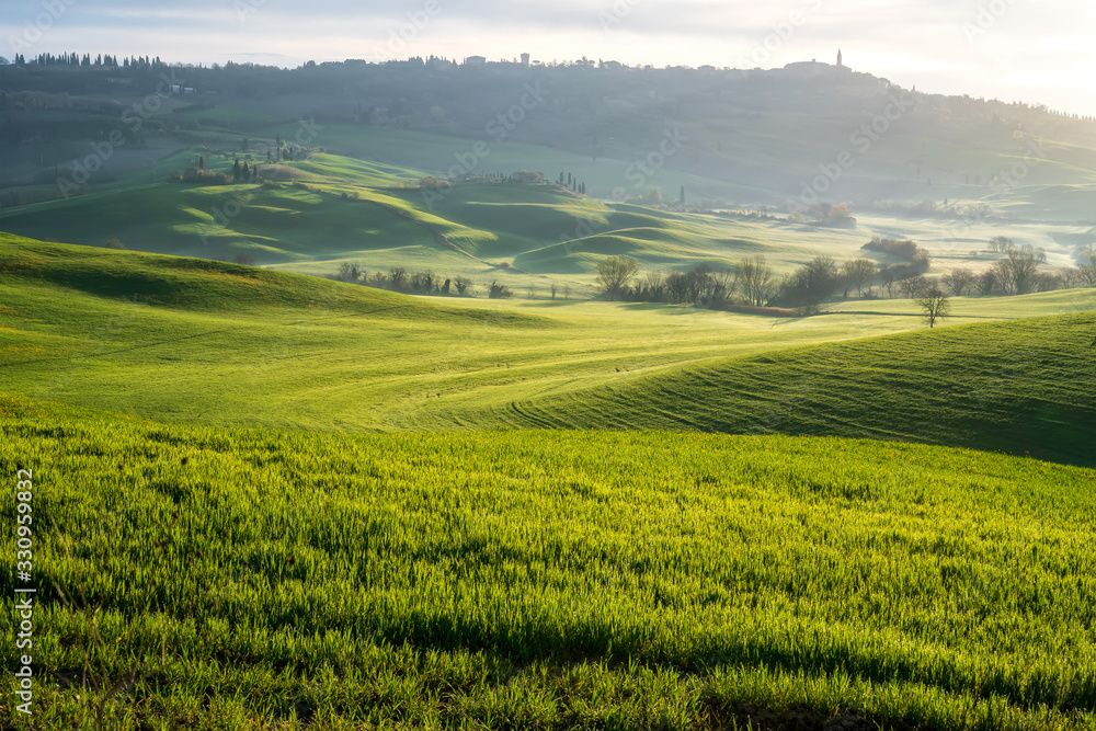 Amazing spring landscape with green rolling hills and farm houses in the heart of Tuscany in morning haze