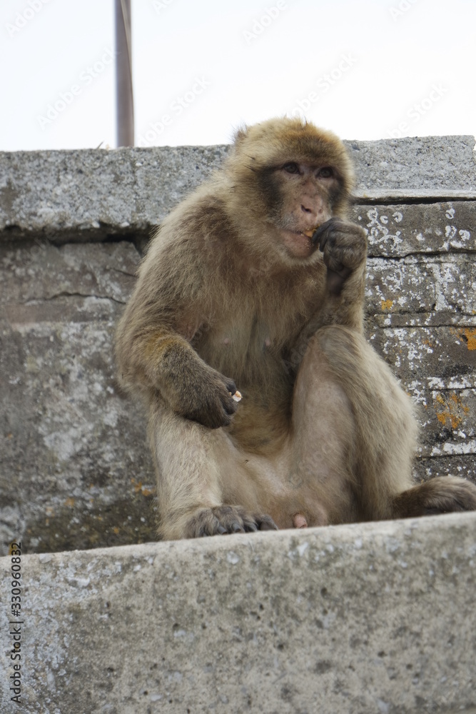 Naklejka premium SAMSUNG CAMERA PICTURES