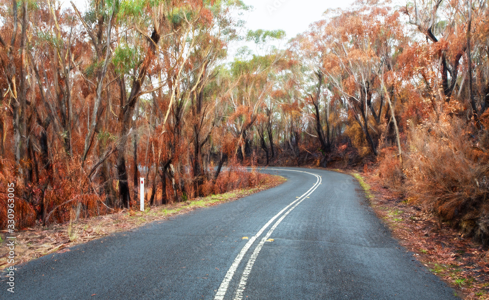 Curving road through buirnt bush land in Australia