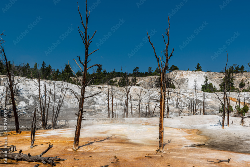 mammoth hot springs yellowstone national park mammoth hot springs yellowstone national park