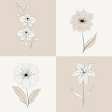 Collection of flowers sketch