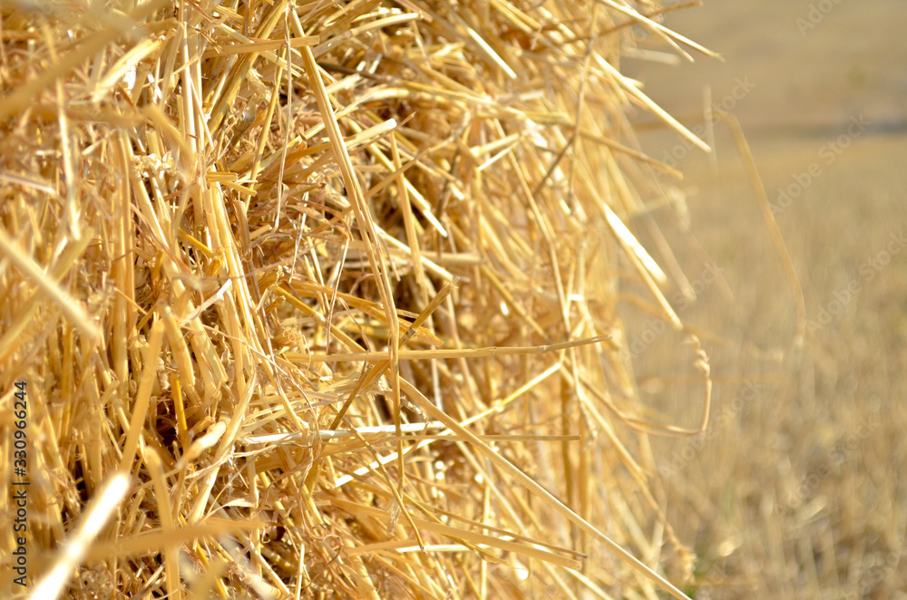Stack of dry yellow hay rolled up closeup Stack of dry yellow hay rolled up closeup