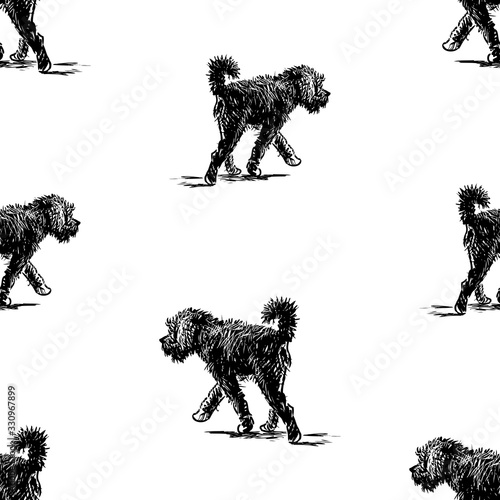 Seamless background of sketches walking black shaggy dog