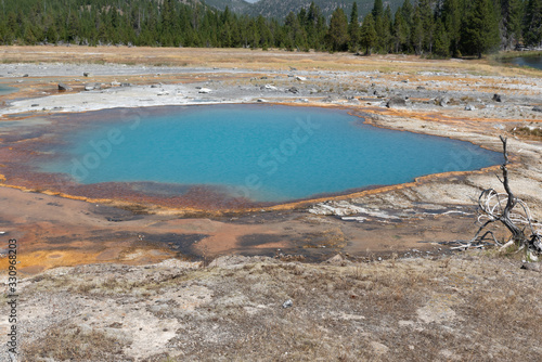 geyser yellowstone national park photo