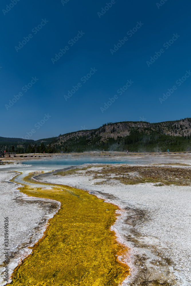 geyser yellowstone national park