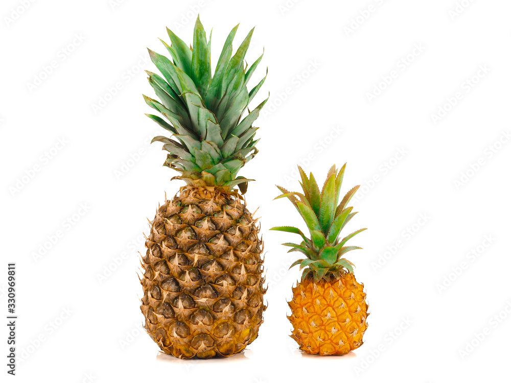 One whole baby pineapple with green leaves and pineapple isolated on a white background One whole baby pineapple with green leaves and pineapple isolated on a white background