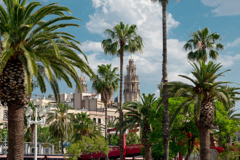 Beautiful palm trees on the promenade of Barcelona in summer. Catalonia, Spain
