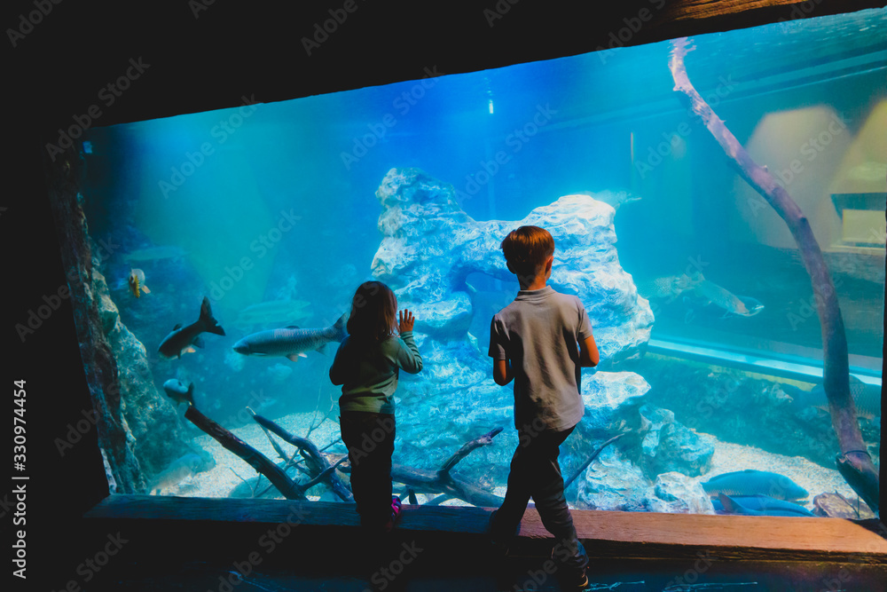 Obraz premium kids-boy and girl- watching fishes in aquarium