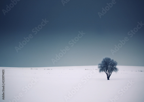 Solitary tree in a grey landscape with snow and a dark sky photo