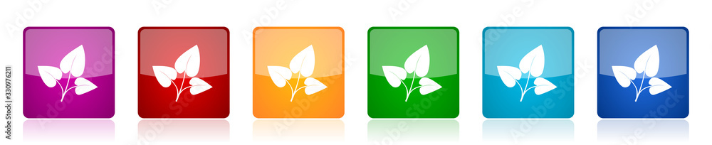 Leaf icon set, colorful square glossy vector illustrations in 6 options for web design and mobile applications