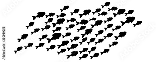 School of fish. Sea animal, fishes silhouettes. Marine life isolated on white background. Vector illustration. 