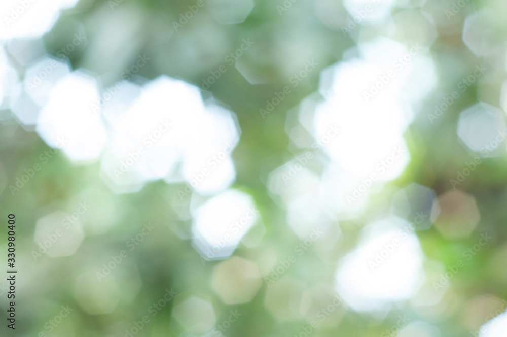 Obraz premium Green bokeh background, soft light.