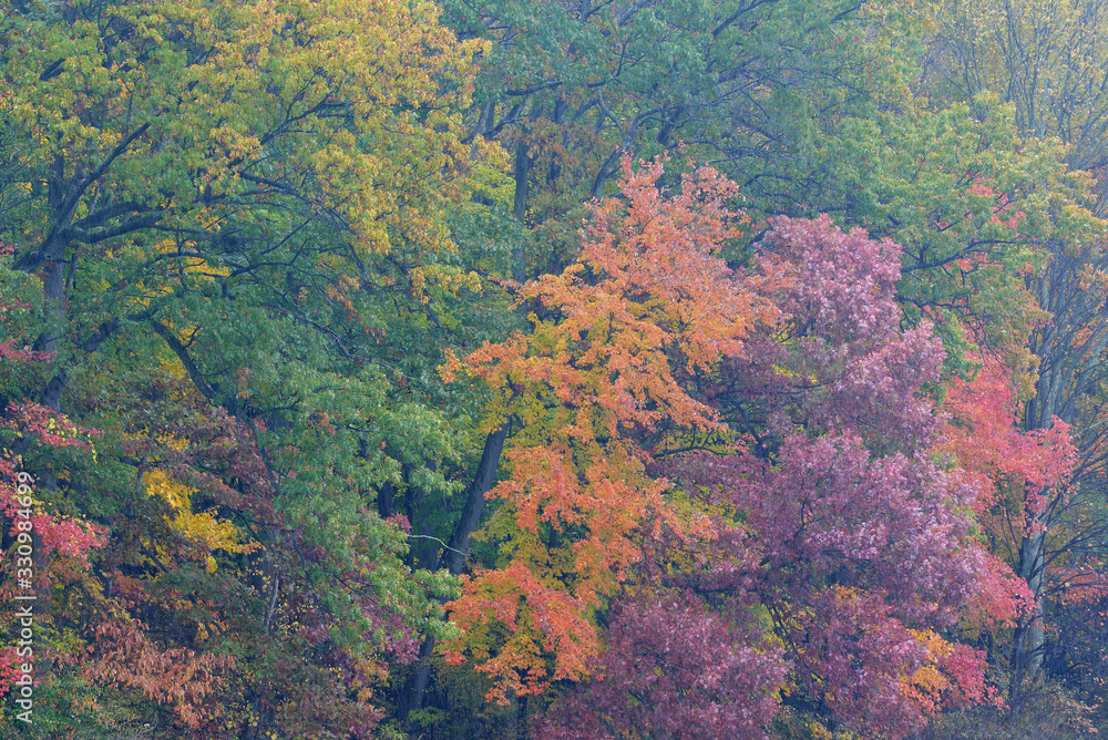 Autumn landscape of the shoreline of Warner Lake, Michigan, USA Autumn landscape of the shoreline of Warner Lake, Michigan, USA