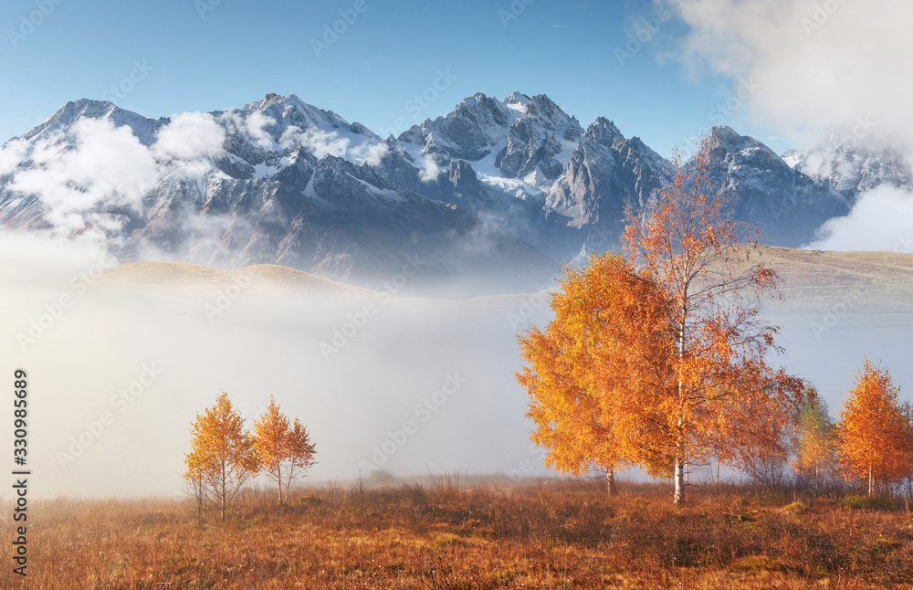 Fototapeta premium Shiny tree on a hill slope with sunny beams at mountain valley covered with fog. Gorgeous morning scene. Red and yellow autumn leaves. Carpathians, Ukraine, Europe. Discover the world of beauty