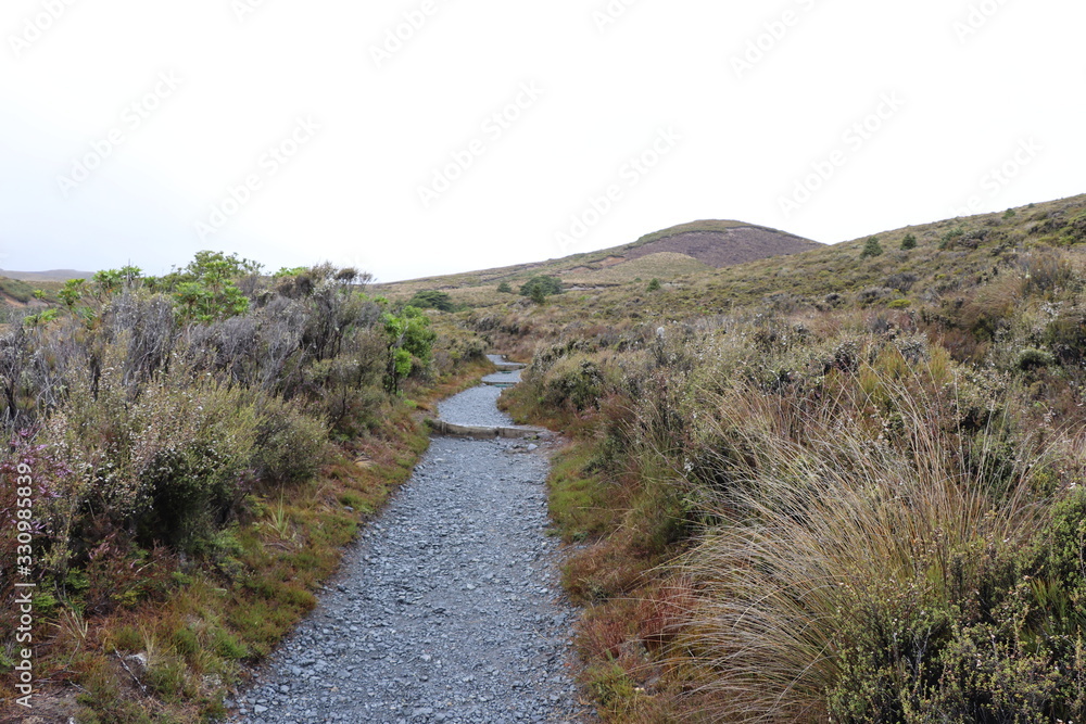 Parc national de Tongariro Nouvelle Zélande