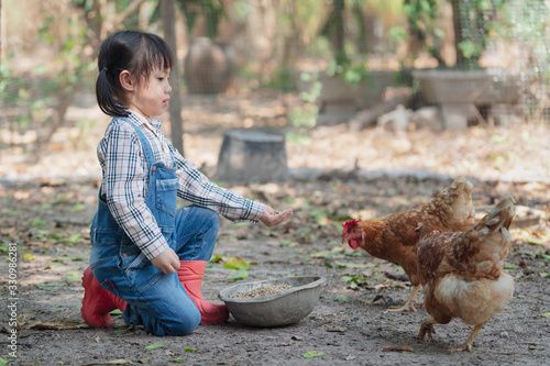 Little asian girl feeding hen happily and enjoy in the chicken farm. First learning of little children. Happy family concept.