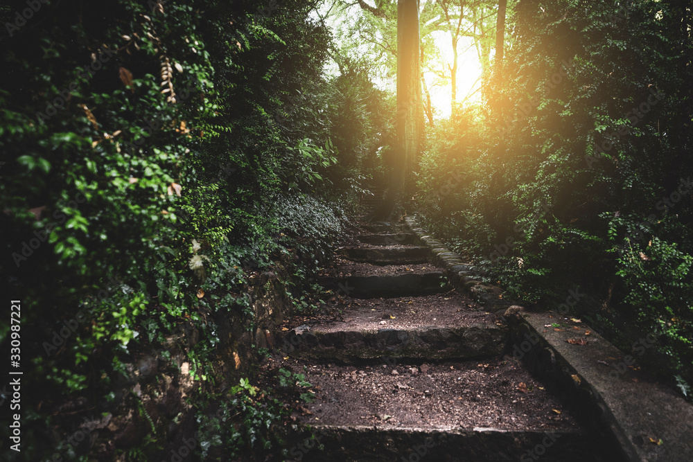 Ancient stairs into the enchanted forest towards sunrise Ancient stairs into the enchanted forest towards sunrise