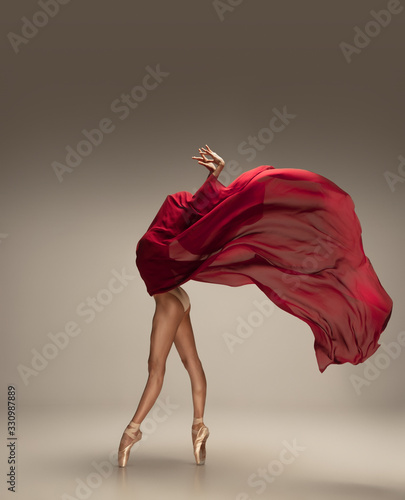 Obraz na plátně Free flight