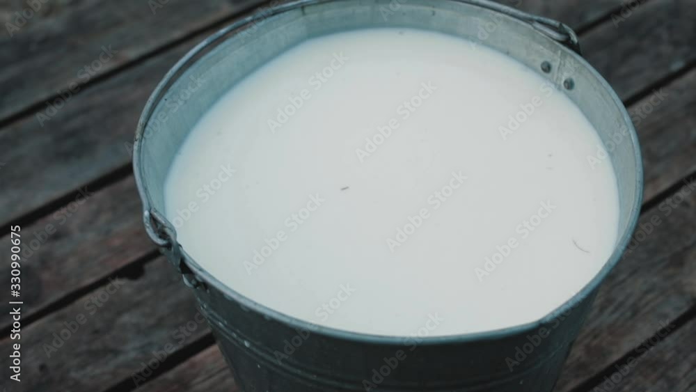 Healthy and natural food in the village. bucket of fresh milk Healthy and natural food in the village. bucket of fresh milk