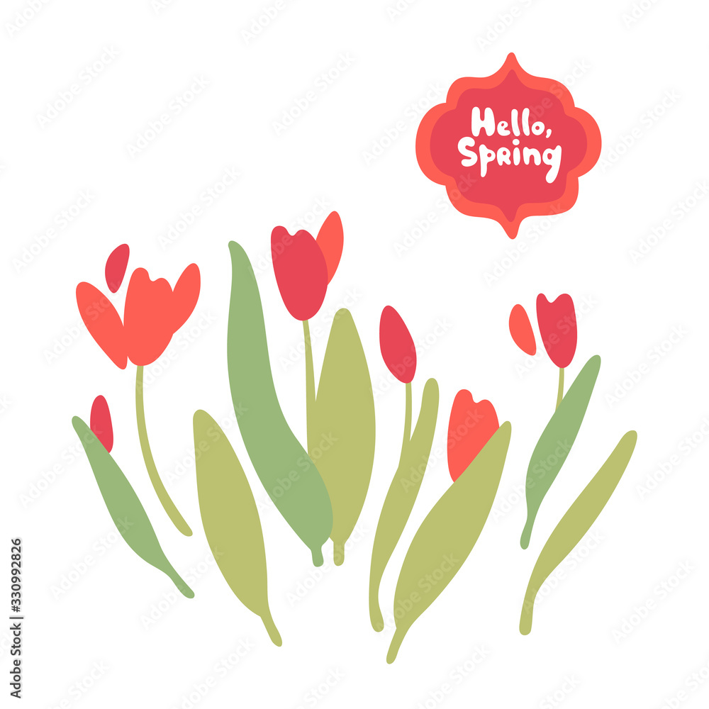 Tulips isolated on white background. Bouquet of red and pink tulips. Vector clipart. Great for invitations, greeting cards, decor. Set of floral doodle elements. Frame text - Hello Spring Tulips isolated on white background. Bouquet of red and pink tulips. Vector clipart. Great for invitations, greeting cards, decor. Set of floral doodle elements. Frame text - Hello Spring