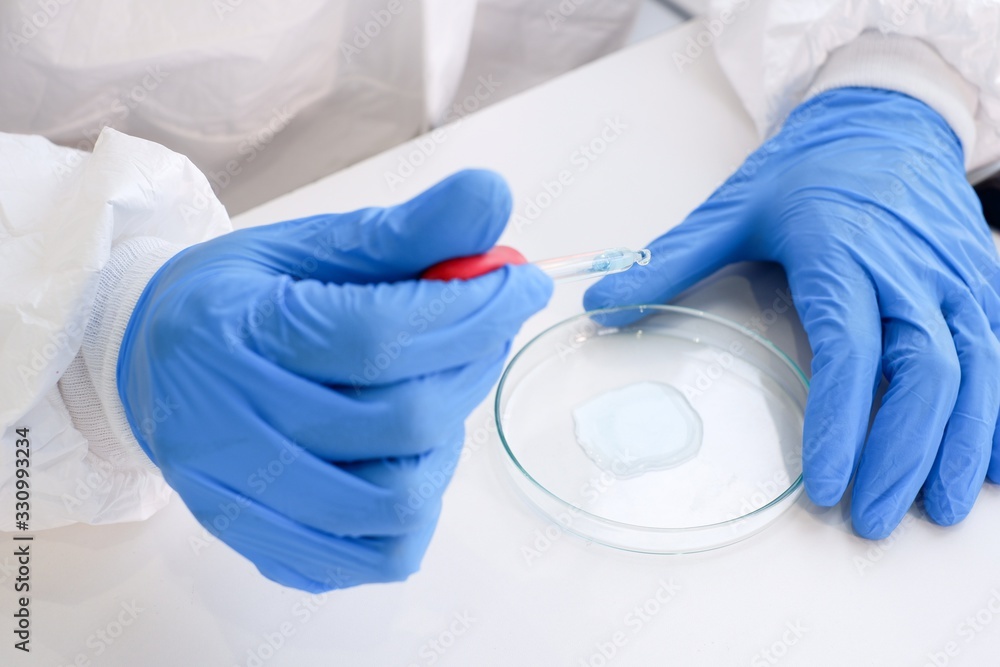 Foto de Researchers wear sterile gloves in the microbiology laboratory