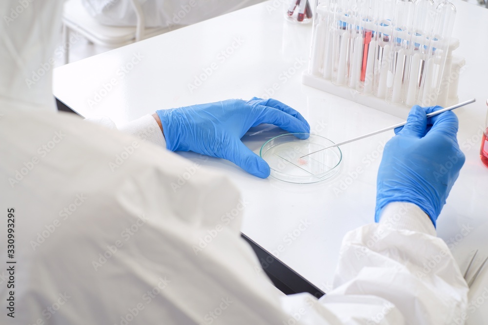 Researchers wear sterile gloves in the microbiology laboratory to