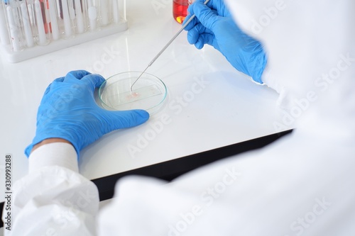 Researchers wear sterile gloves in the microbiology laboratory to cultivate cells in tissue culture sheets. To create an antiviral formula for people around the world Laboratory research concepts photo